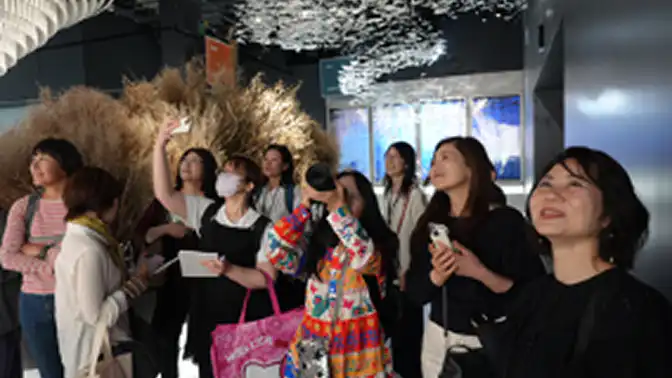 グループ見学の様子